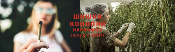 спиды Дмитровск